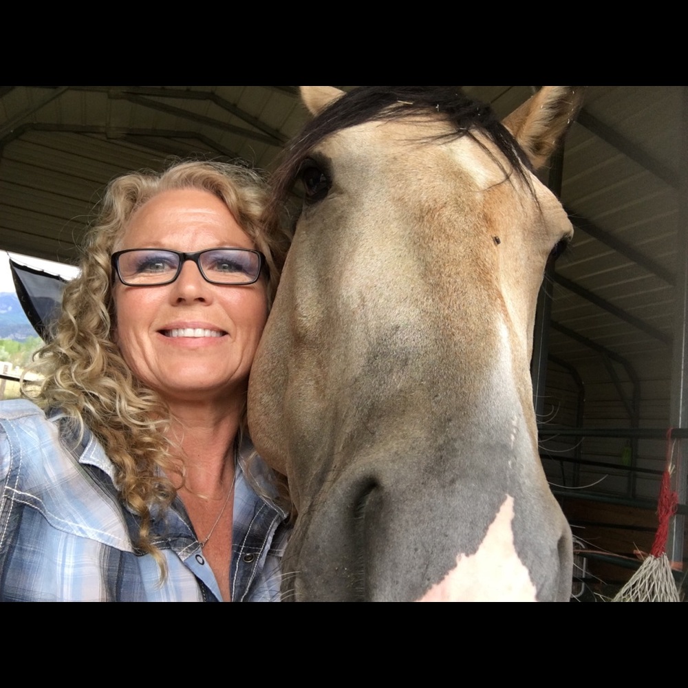Meet your Posher, Donna